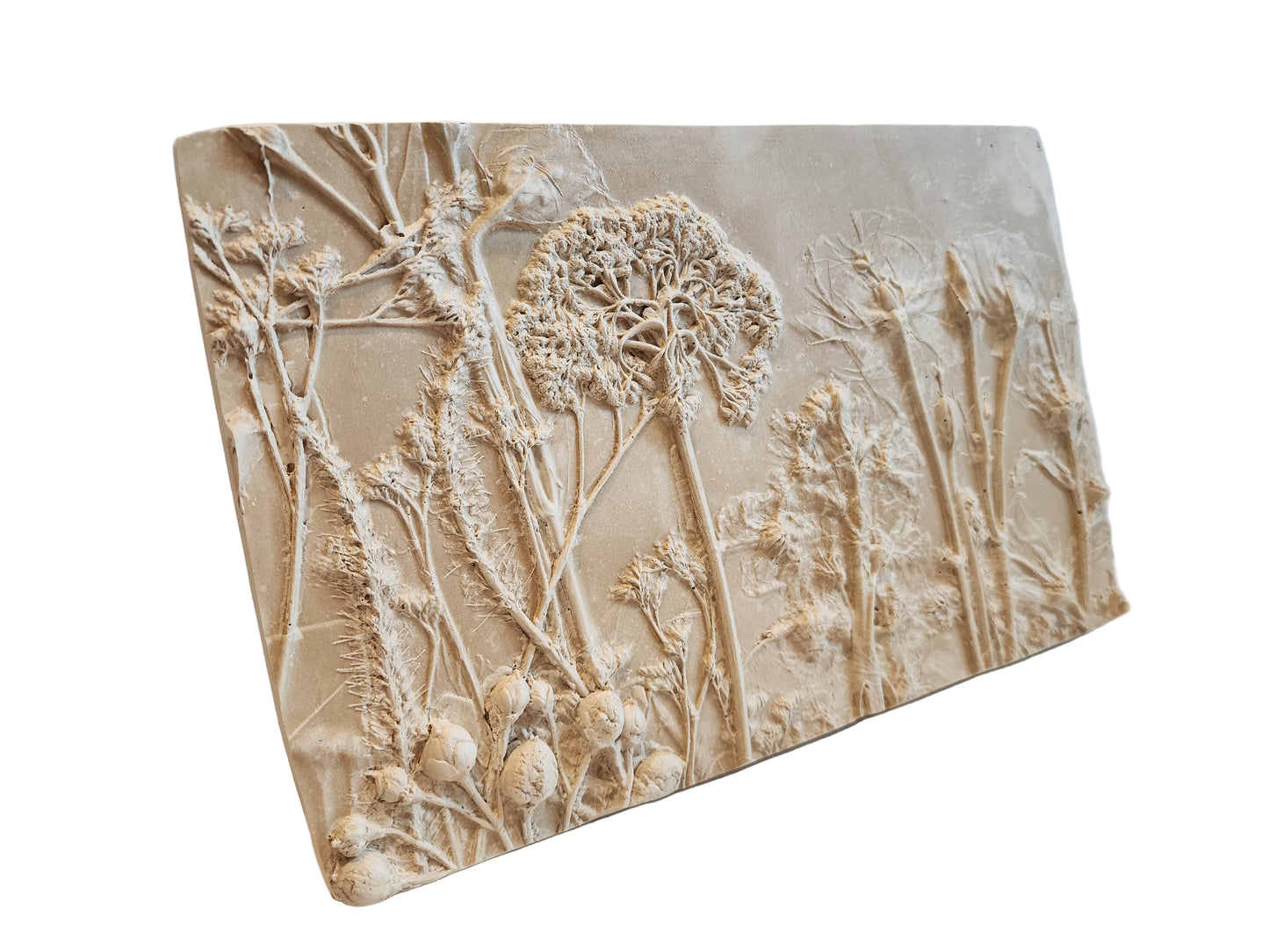 Plaster Botanical Bas Relief Artwork