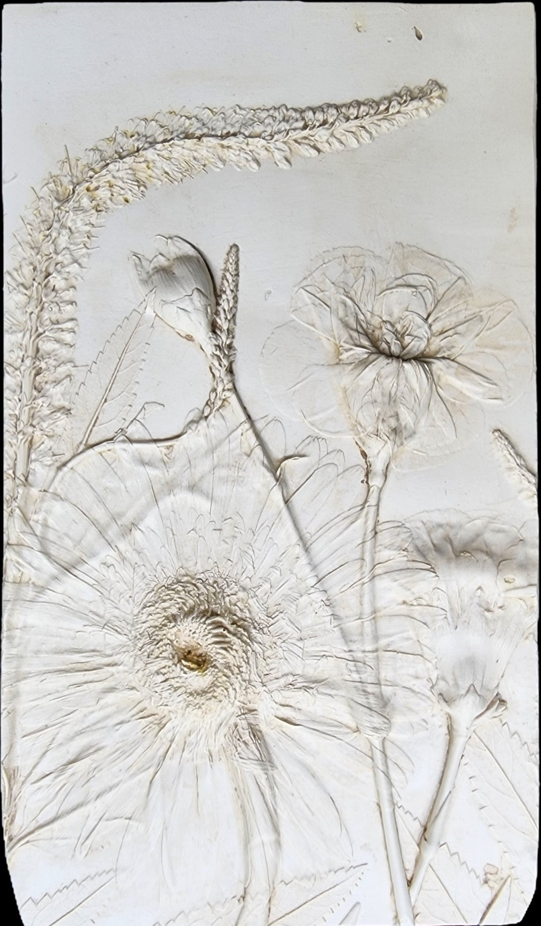 Plaster Botanical Bas Relief Artwork
