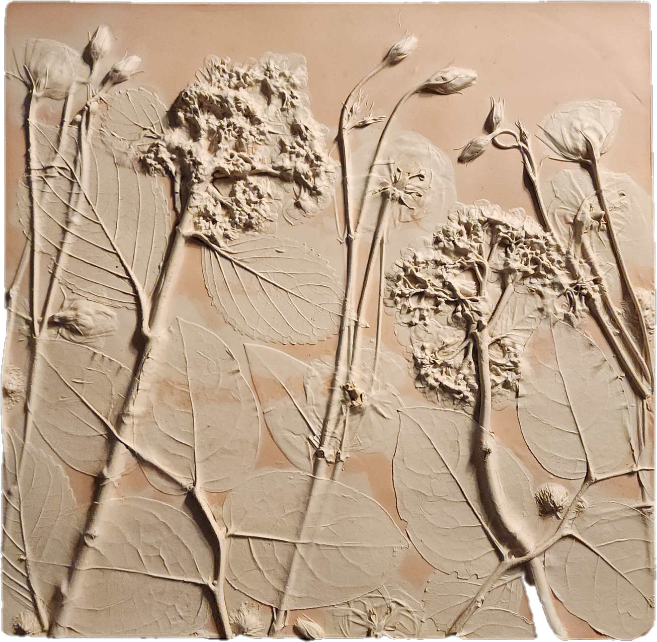 Plaster Botanical Bas Relief Artwork - Hydrangea Dark