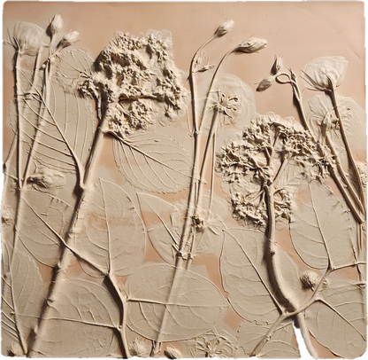 Plaster Botanical Bas Relief Artwork - Hydrangea Dark