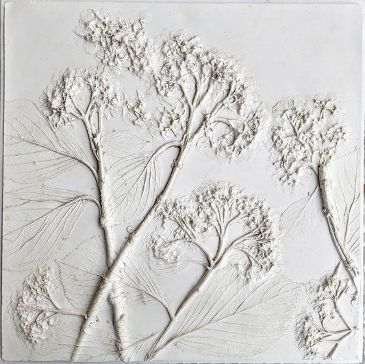Plaster Botanical Bas Relief Artwork
