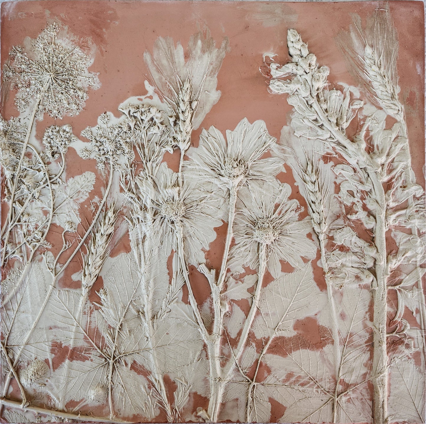 Plaster Botanical Bas Relief Artwork - Oat Dark