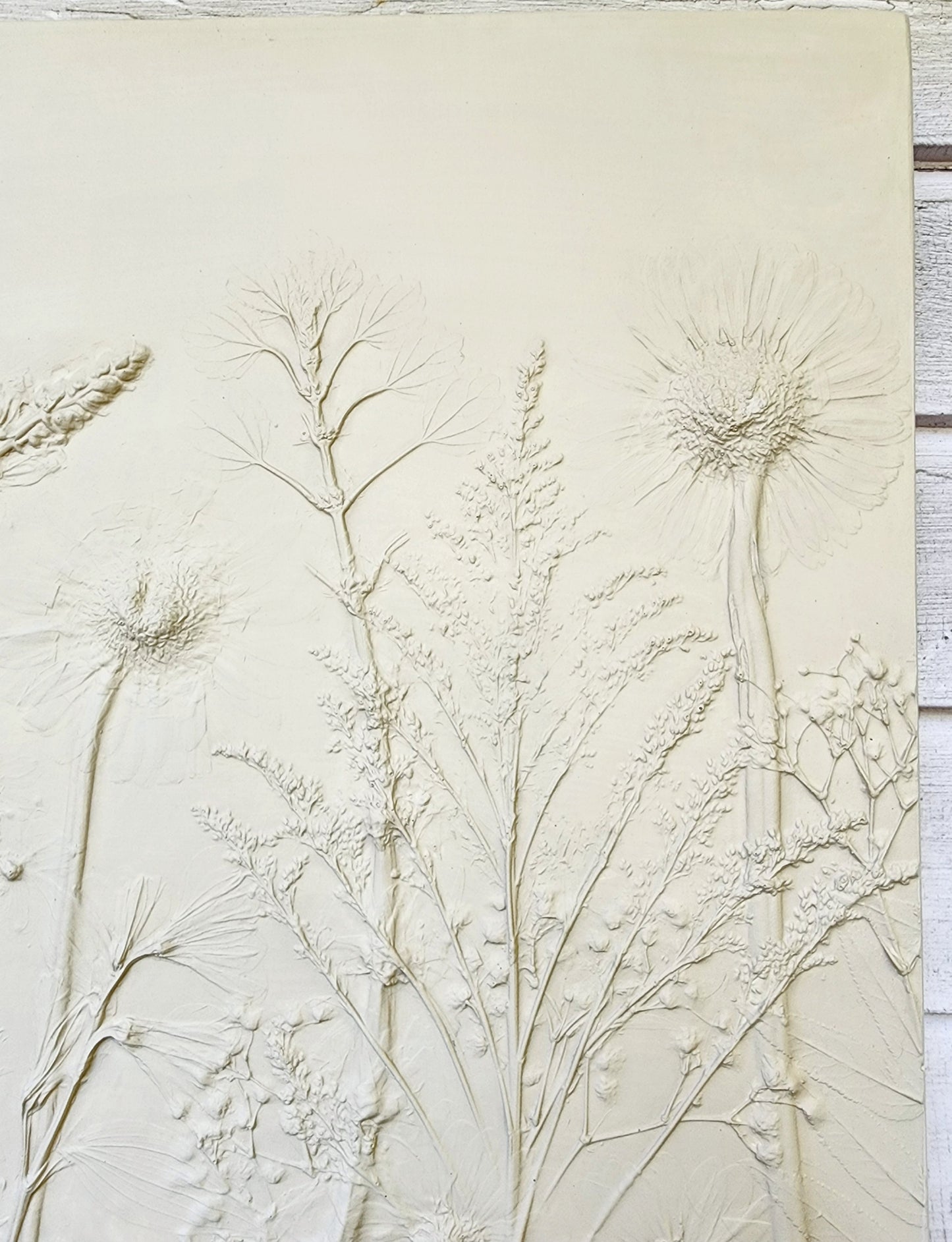 Plaster Botanical Bas Relief Artwork