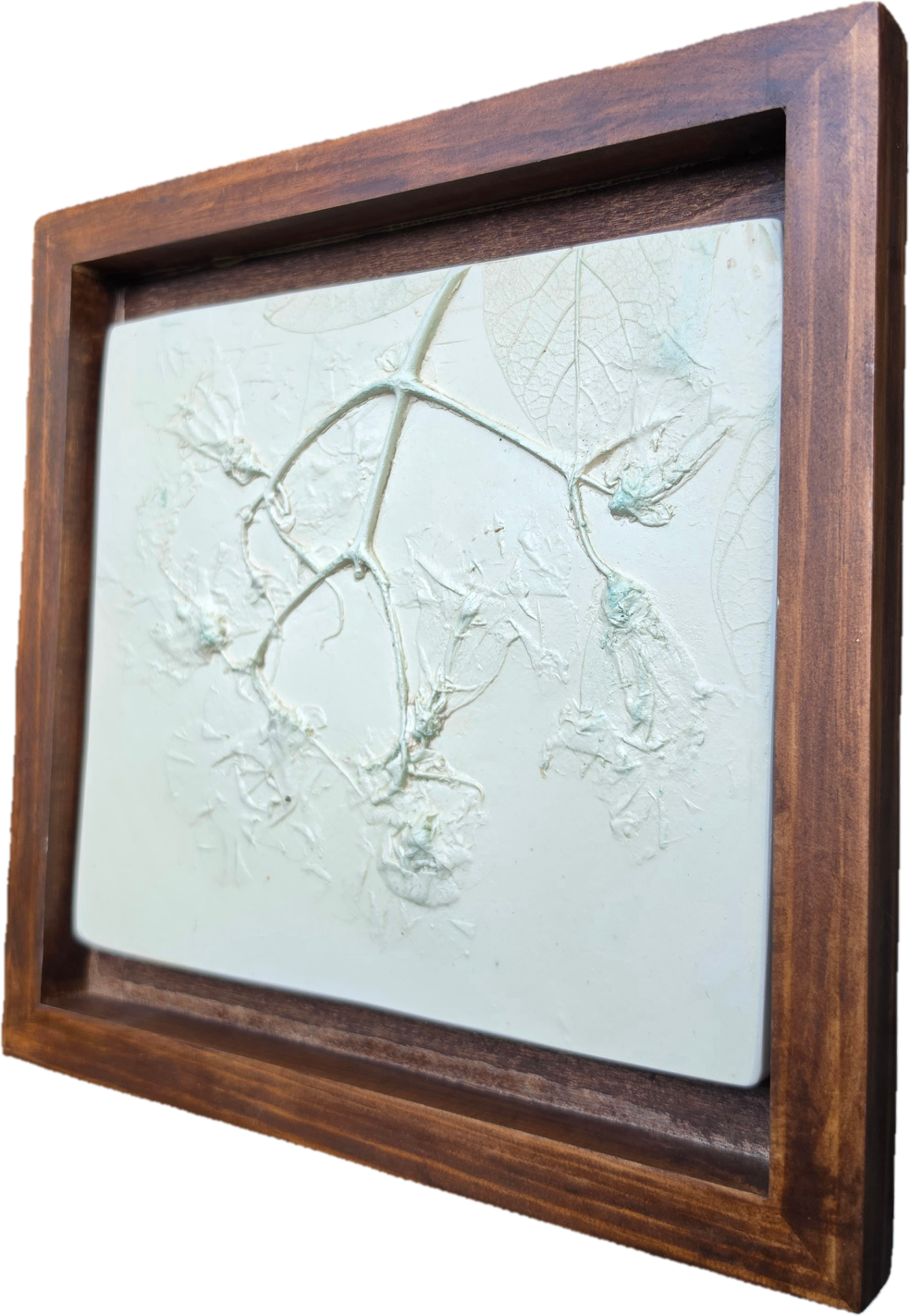 Northern Catalpa Plaster Botanical Bas Relief Wall Art