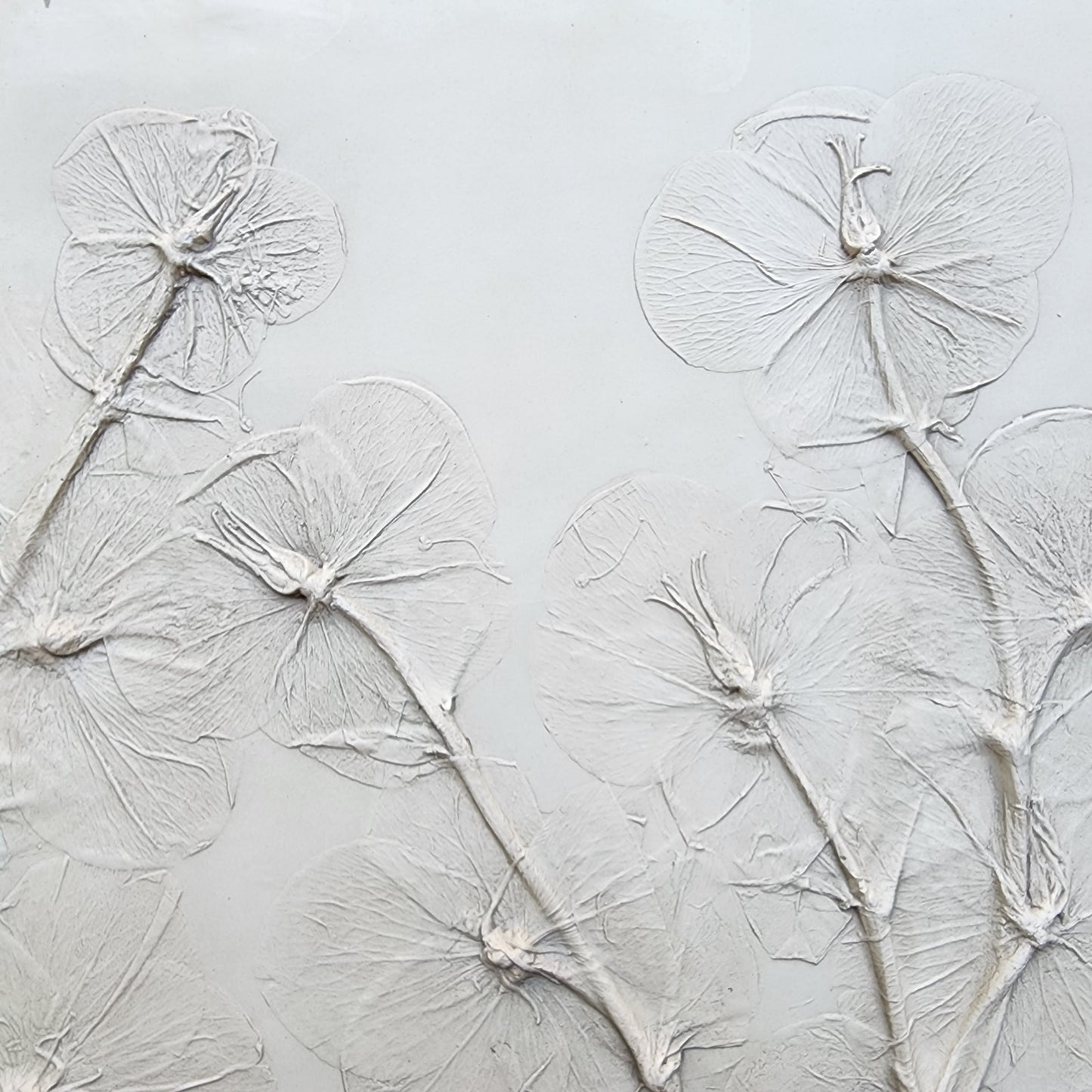 Hellebore Bas Relief Plaster Wall Art – Natural Plaster, 15×15" (2 of 2)