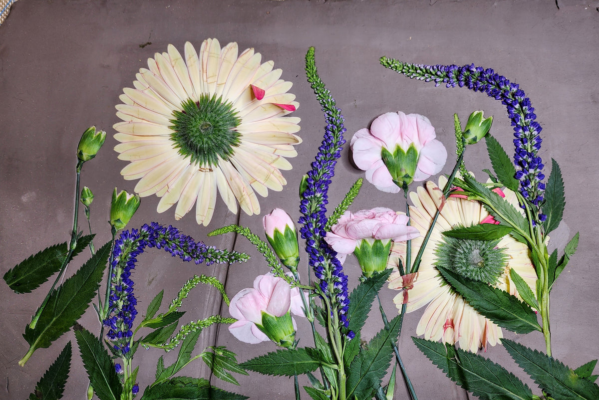 Gerber Daisy, Carnation & Veronica Plaster Botanical Bas Relief Wall Art