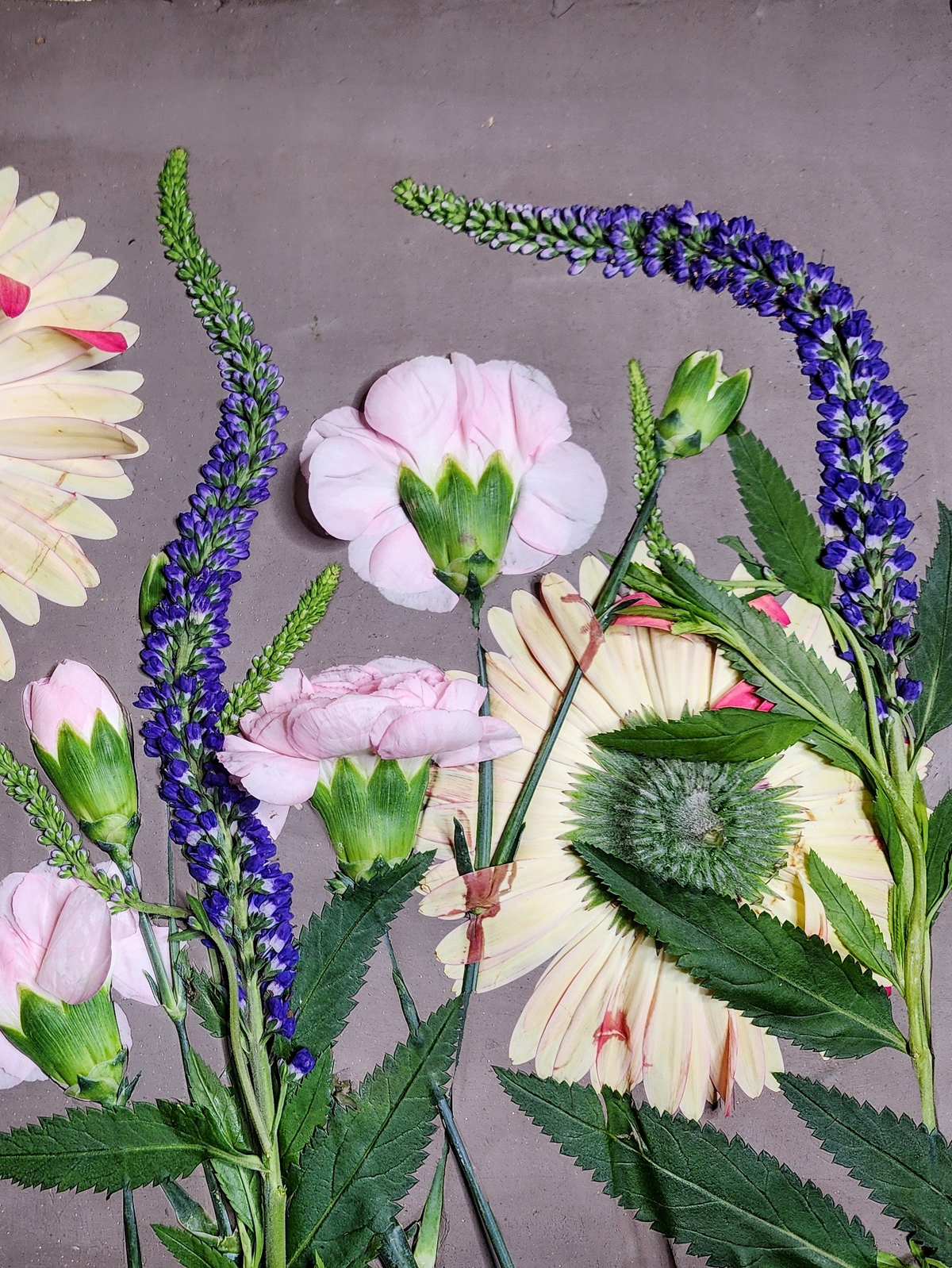 Gerber Daisy, Carnation & Veronica Plaster Botanical Bas Relief Wall Art