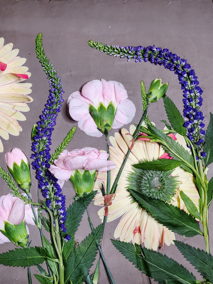 Gerber Daisy, Carnation & Veronica Plaster Botanical Bas Relief Wall Art
