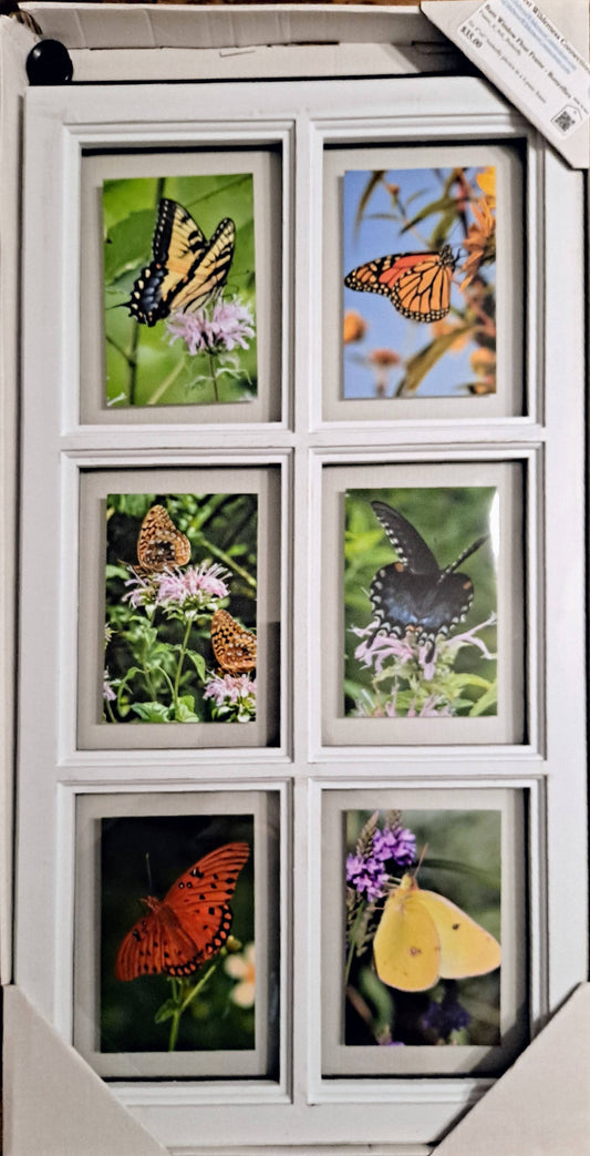 Barn Window Float Frame - Butterflies