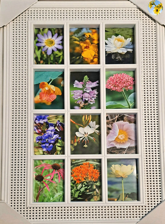 Barn Window Frame - Midwest Wildflowers