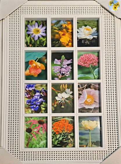 Barn Window Frame - Midwest Wildflowers