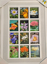 Load image into Gallery viewer, Barn Window Frame - Midwest Wildflowers
