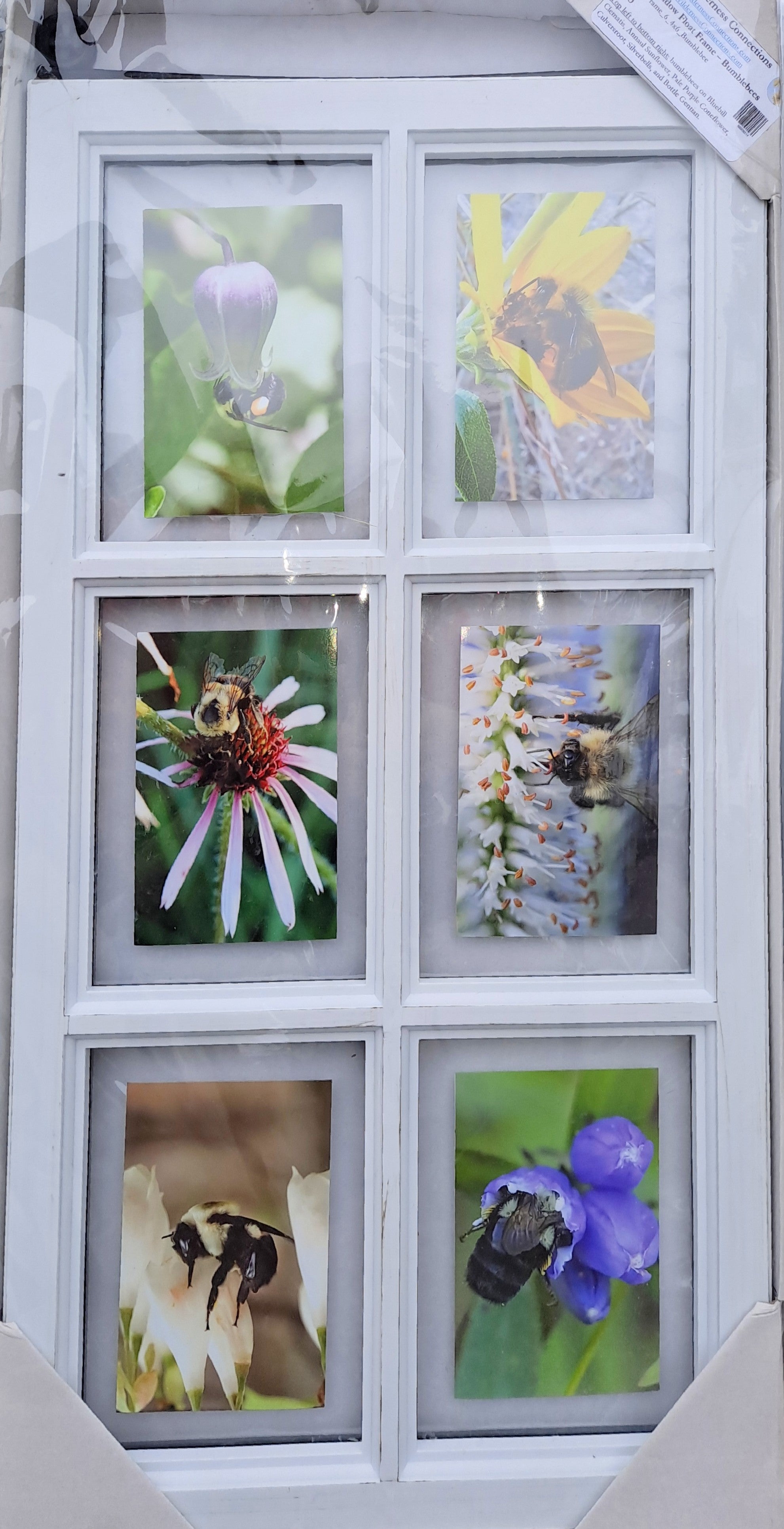 Barn Window Float Frame - Bumblebees