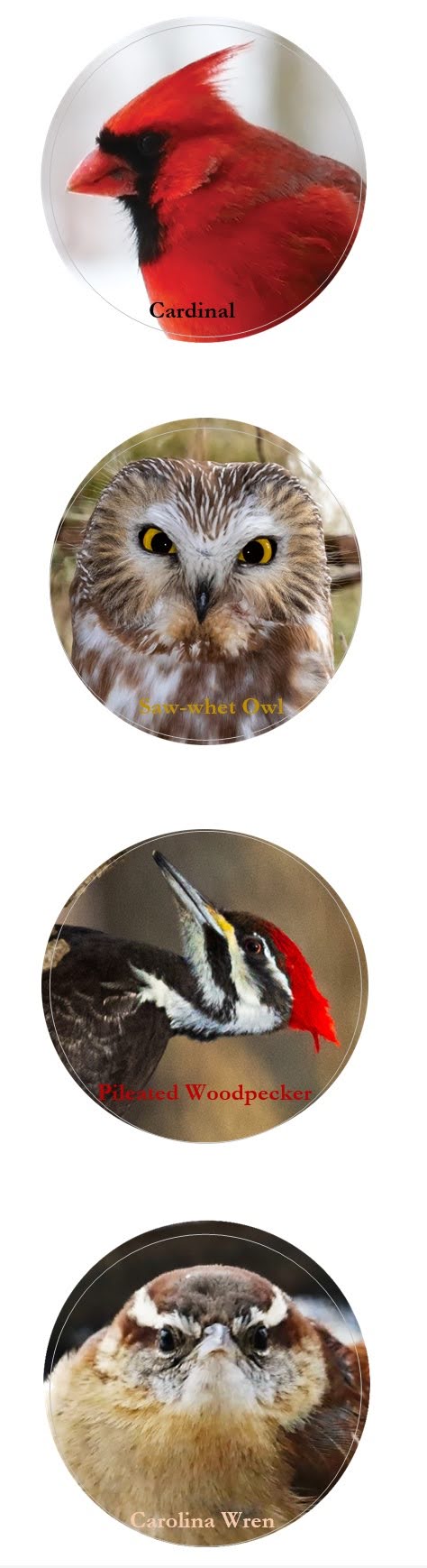 Stickers: Midwest Birds