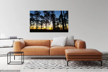 Load image into Gallery viewer, Okefenokee Photo Print IMG_185541
