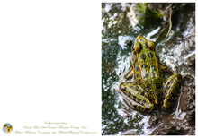 Load image into Gallery viewer, Swamp White Oak Preserve Greeting Card IMG_2545
