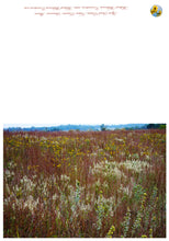 Load image into Gallery viewer, Ayers Sand Prairie State Preserve Greeting Card IMG_3490
